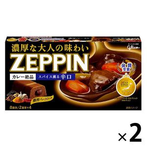 江崎グリコ カレーZEPPIN 辛口 2個 絶品