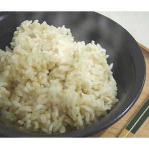 ファンケル 発芽玄米100%使用 発芽米ごはん...の詳細画像3