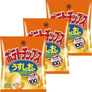 湖池屋 ポテトチップス うすしお味 3袋 スナック菓子