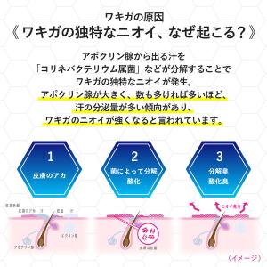 リフレア デオドラントリキッド 50ml 無香...の詳細画像3