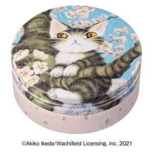 STEAM CREAM ダヤンと桜色の風 75g