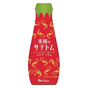 ハウス食品 楽園のサテトム 1個
