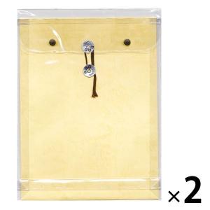 菅公工業 ビニールパッカー 角2 クリーム ニ303 2枚