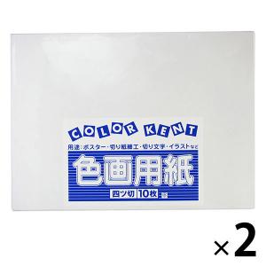 大王製紙 色画用紙 四切 ゆき A-49 2袋（10枚入×2）