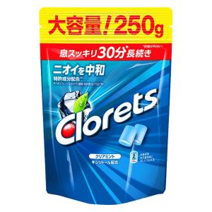 クロレッツXP クリアミント スタンドパウチ 1袋 モンデリーズ ジャパン ガム