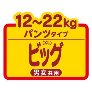 【セール】マミーポコ おむつ パンツ ビッグ(...の詳細画像3