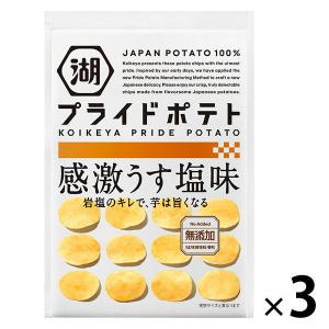 湖池屋 KOIKEYA PRIDE POTATO 感激うす塩味 3袋 ポテトチップス スナック