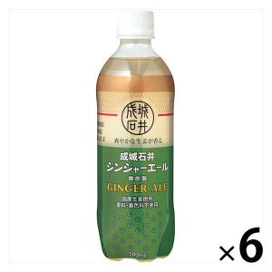 成城石井 ジンジャーエール 500ml 1セット