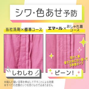 エマール リフレッシュグリーンの香り 詰め替え...の詳細画像2