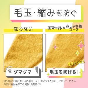 エマール リフレッシュグリーンの香り 詰め替え...の詳細画像4