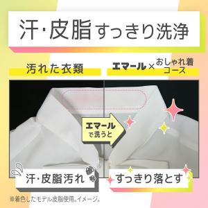 エマール リフレッシュグリーンの香り 詰め替え...の詳細画像5
