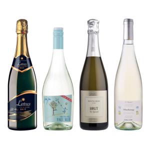 モンテ物産 イタリアスパークリング フリッツァンテ4本セット 750ml×4本 1セット セットワイン