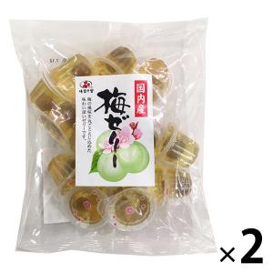 銀座花のれん 国産果汁ゼリー 180g 3個 にっぽん津々浦々 通販 Paypayモール