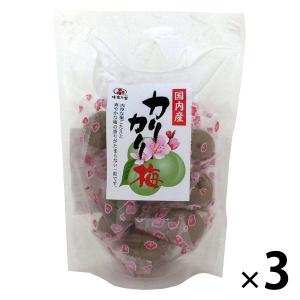 無印良品 梅ミンツ 30g 4袋 良品計画 Lohaco Paypayモール店 通販 Paypayモール