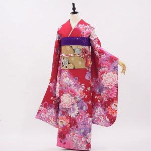 正絹振袖+半衿付き長襦袢+帯+帯揚+帯〆+重衿 6点セット 大人かわいい