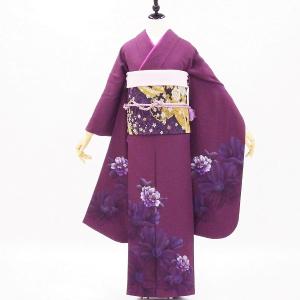 正絹振袖+半衿付き長襦袢+帯+帯揚+帯〆+重衿 6点セット 大人