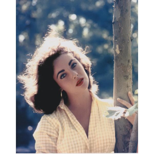 エリザベステイラー　Elizabeth Taylor 　輸入　写真　洋画　10037.