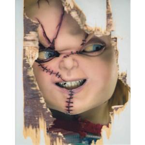 ズーイーデシャネル Zooey Deschanel 約20.3x25.4cm 輸入 写真 5323