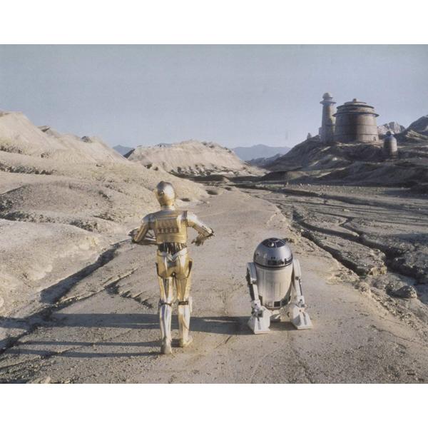 スターウォーズ　C-3PO　R2-D2　輸入　写真　 #10538
