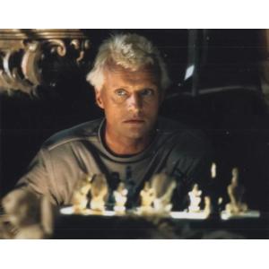 キャンディスバーゲン Candice Bergen 映画 写真 輸入 約20.3x25.4cm