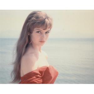 ズーイーデシャネル Zooey Deschanel 輸入 写真 約20.3x25.4cm 11992