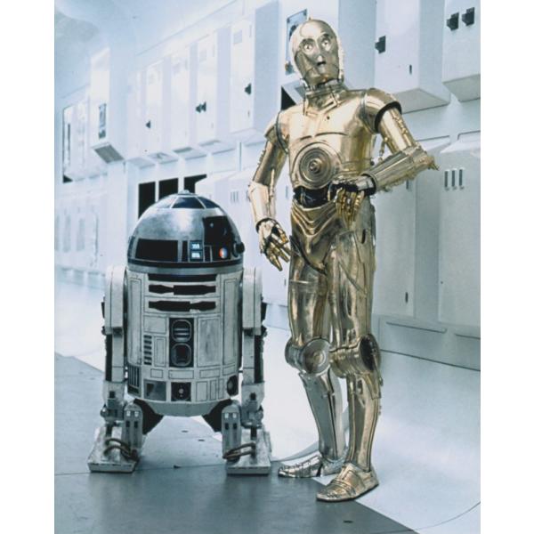 スターウォーズ　C-3PO　R2-D2　Star Wars　映画　写真　輸入品　約20.3x25.4...