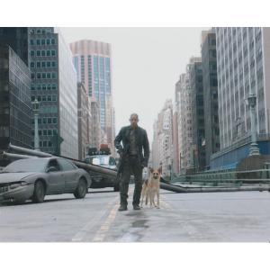 アイアムレジェンド　ウィルスミス　I Am Legend　Will Smith 輸入　写真　1145...