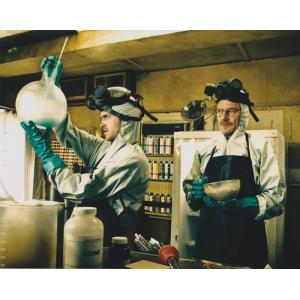 ジェレミーアイアンズ Jeremy Irons 約20.3x25.4cm 輸入 写真 10908