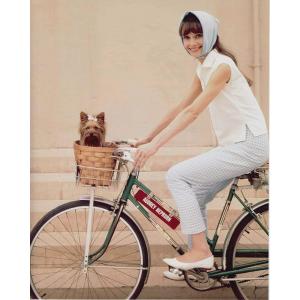 オードリーヘップバーン　自転車の笑顔　Audrey Hepburn、輸入、写真　11827