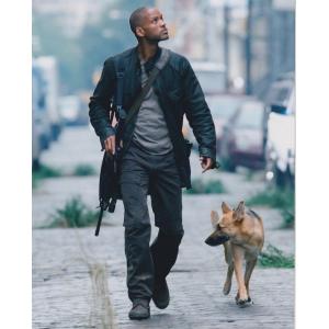 アイアムレジェンド　I Am Legend　ウィルスミス　輸入　写真　20.3x25.4cm　118...