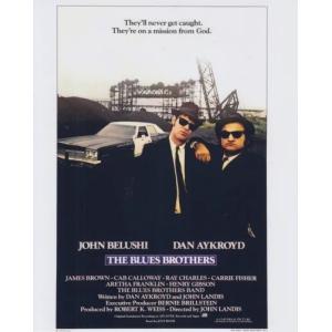 セール中…ズーイー・デシャネル直筆サイン入り超 大型写真… ズーイー・デシャネル直筆サイン入り超 大型写真…