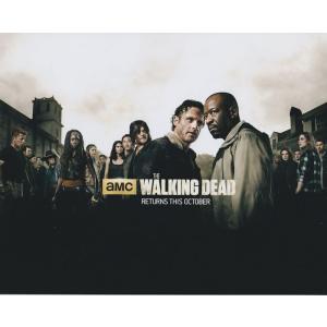 ウォーキングデッド　The Walking Dead　ノーマンリーダス Norman Reedus　...