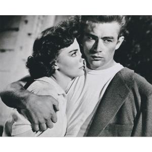 理由なき反抗　ジェームズディーン　Rebel Without a Cause　James Dean　...
