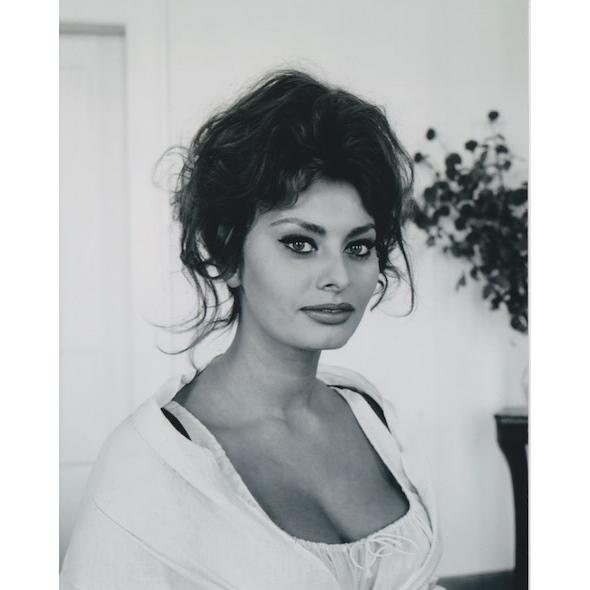 ソフィアローレン　Sophia Loren　約20.3x25.4cm　輸入　写真　23051