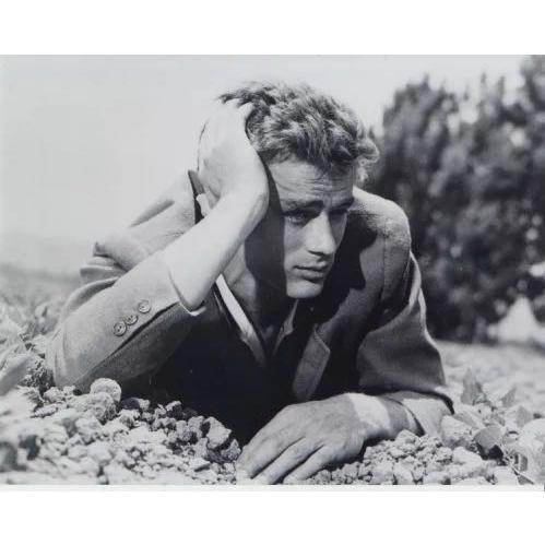 ジェームズディーン　JAMES DEAN　約20.3x25.4cm　輸入　写真　23193