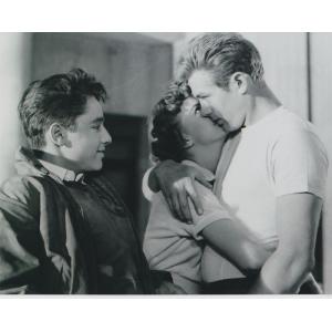 ジェームズディーン 画質粗めです。JAMES DEAN　輸入　写真　約20.3x25.4cm　232...