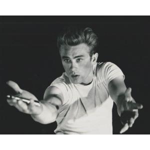 ジェームズディーン　JAMES DEAN　輸入　写真　30139a、洋画