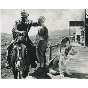 ズーイーデシャネル Zooey Deschanel 輸入 写真 約20.3x25.4cm 11992