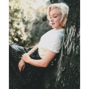 マリリンモンロー　画質粗めです。Marilyn Monroe、輸入　写真　30437d