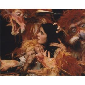 ラビリンス　ジェニファーコネリー　Labyrinth　Jennifer Connelly　輸入　写真...
