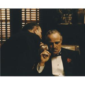 ズーイーデシャネル Zooey Deschanel 輸入 写真 約20.3x25.4cm 10139