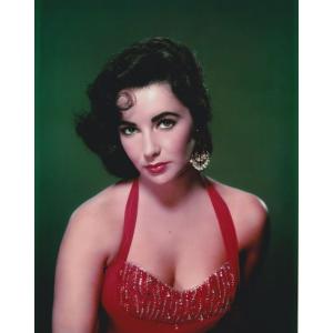 エリザベステイラー　Elizabeth Taylor　約20.3x25.4cm　輸入　写真　4018...