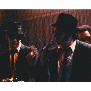 ズーイーデシャネル Zooey Deschanel 輸入 写真 約20.3x25.4cm 10139