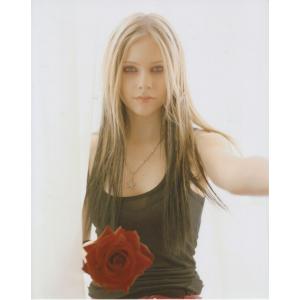 アヴリルラヴィーン　Avril Lavigne、輸入　写真　4954.