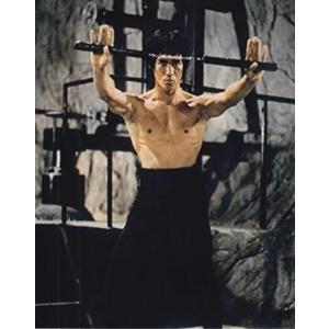 ズーイーデシャネル Zooey Deschanel 輸入 写真 約20.3x25.4cm 10139