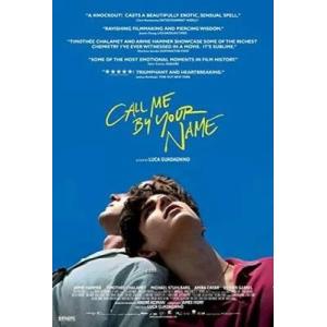 君の名前で僕を呼んで　Call Me By Your Name、直輸入、小ポスター、米国版　6103、洋画.