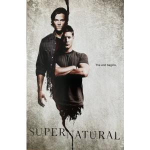 輸入 小型ポスター写真 マイプライベートアイダホ My Own Private