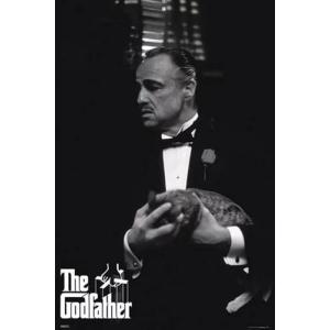 ほぼA4サイズ) バッファロー'66 Buffalo '66 ヴィンセントギャロ