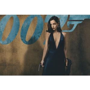 (ほぼA4サイズ) 007　ノータイムトゥダイ　アナデアルマス　Ana de Armas　写真 輸入...