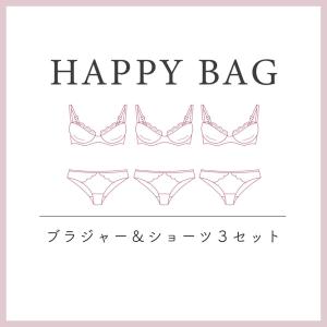 ナルエー公式 ブラジャー ショーツ 上下セット...の詳細画像1